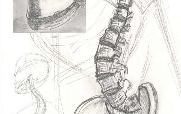 Spine
