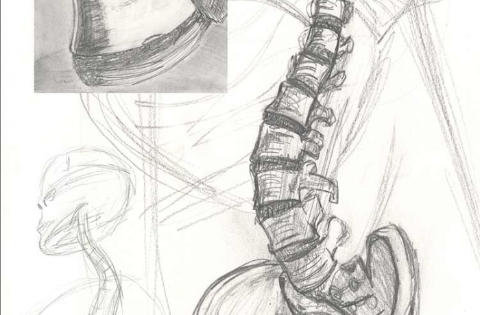 Spine