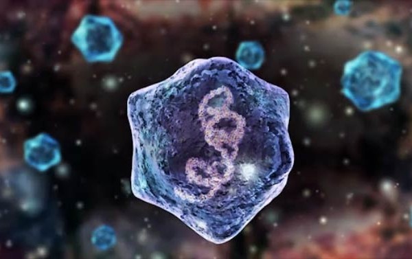 Rhino Virus